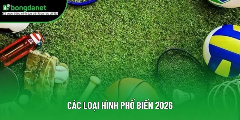 Các loại hình phổ biến 2026