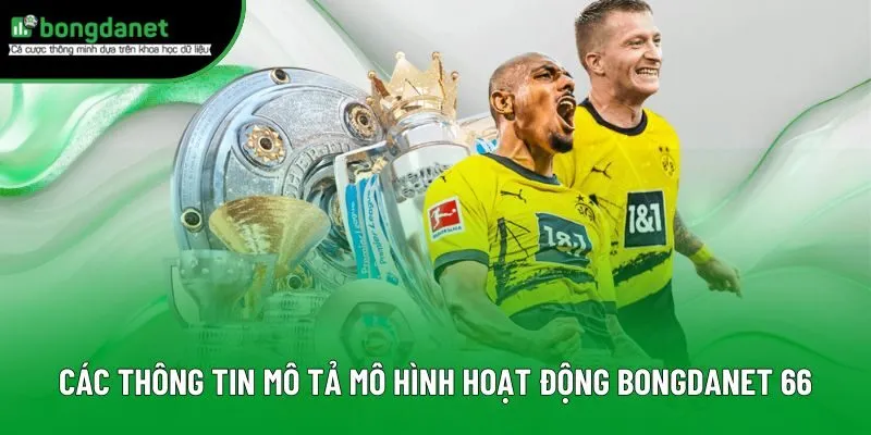 Các thông tin mô tả mô hình hoạt động BongdaNET 66 Các thông tin mô tả mô hình hoạt động BongdaNET 66