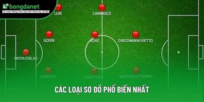 Các loại sơ đồ thịnh hành nhất 2025