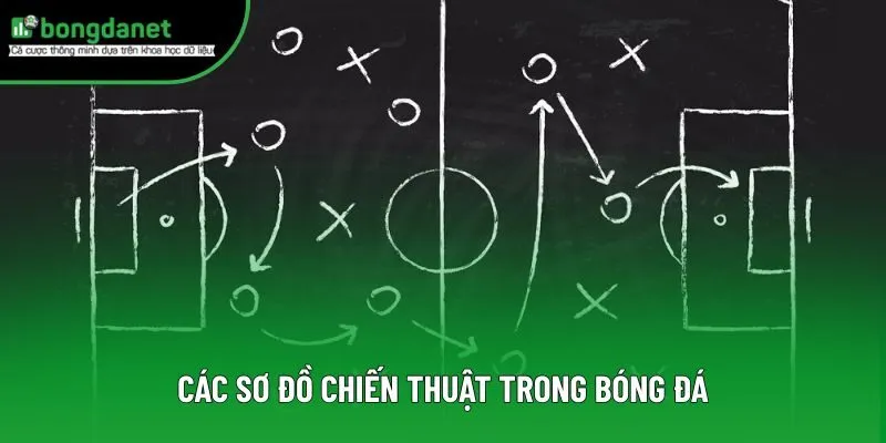 Các Sơ Đồ Chiến Thuật Trong Bóng Đá - Hướng Dẫn Hiểu Rõ