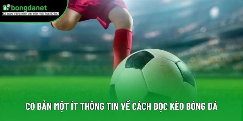 Cơ bản một ít thông tin về cách đọc kèo bóng đá Cơ bản một ít thông tin về cách đọc kèo bóng đá