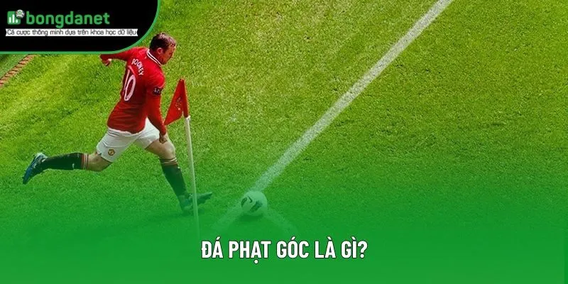 Đá Phạt Góc Là Gì? Chi Tiết Về Luật, Chiến Thuật Hay 2025