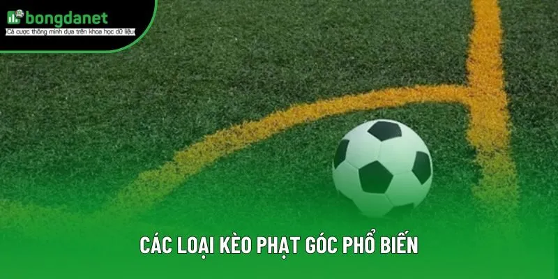 Các loại kèo phạt góc phổ biến