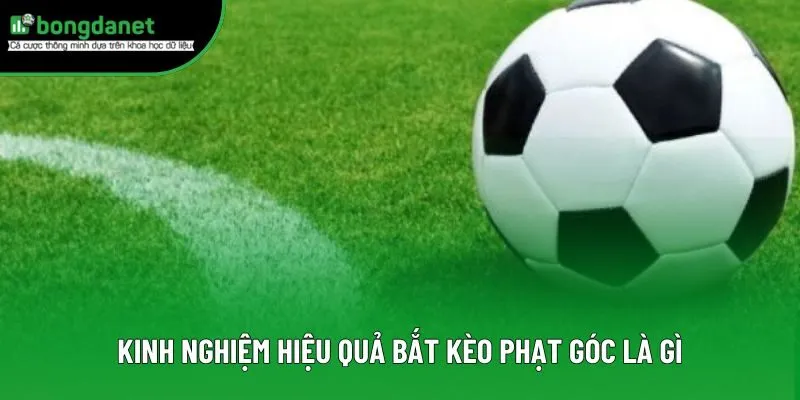 Kinh nghiệm hiệu quả bắt kèo phạt góc là gì