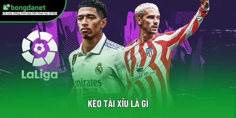 Kèo Tài Xỉu Là Gì? Loại Hình Đặc Sắc, Tỷ Lệ Thắng Đến 90%