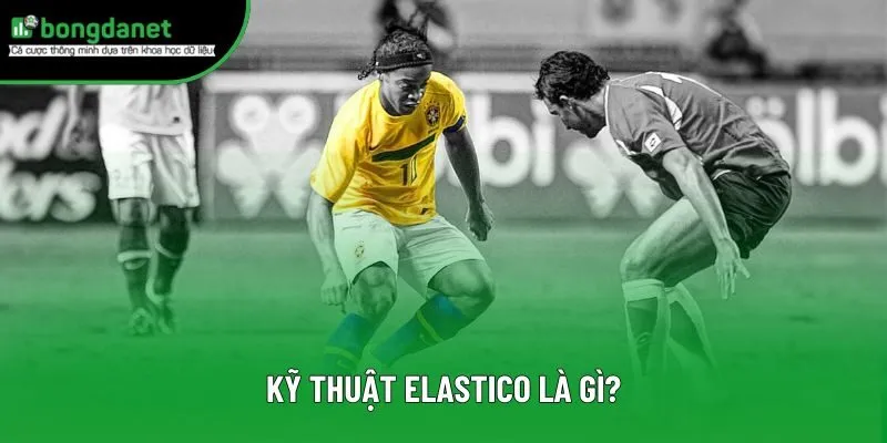 Kỹ thuật elastico là gì? Kỹ thuật elastico là gì?