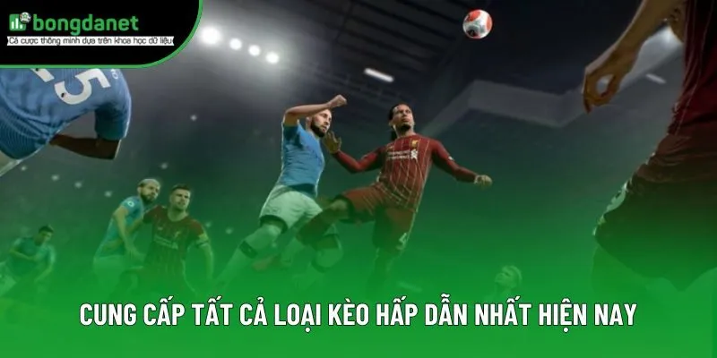 Cung cấp tất cả loại kèo hấp dẫn nhất hiện nay