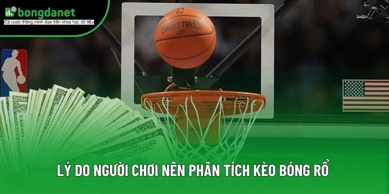 Lý do người chơi nên phân tích kèo bóng rổ 