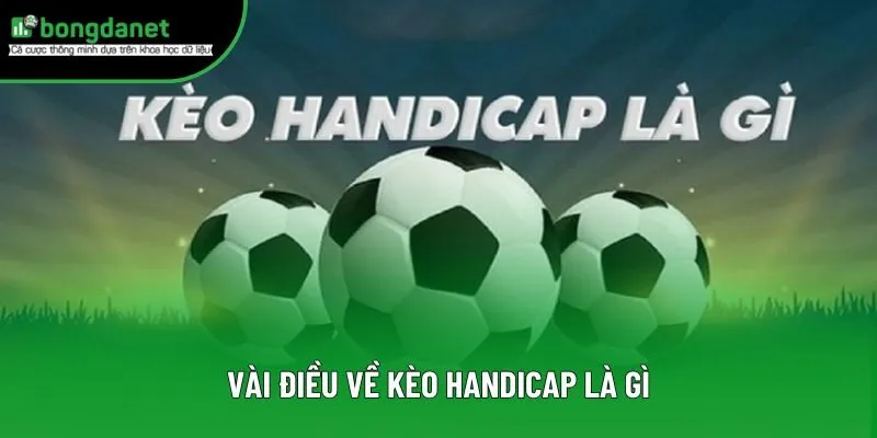 Vài điều về kèo Handicap là gì
