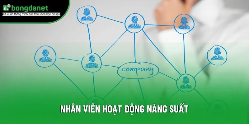 Nhân viên hoạt động năng suất